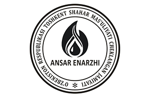 LLC Ansar Enarzhi